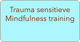  Trauma sensitieve Mindfulness training 