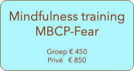  Mindfulness training MBCP-Fear Groep € 450 Privé € 850